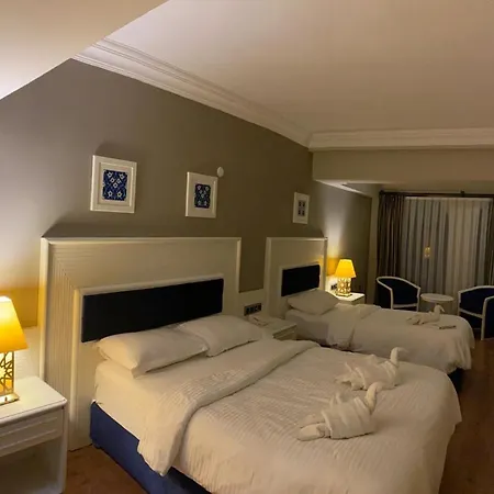 ホテル The Mara Palace フェティエ