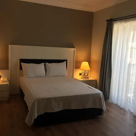 ホテル The Mara Palace フェティエ